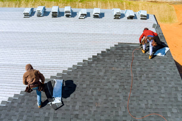 Best Metal Roofing Contractor  in Durant, MS