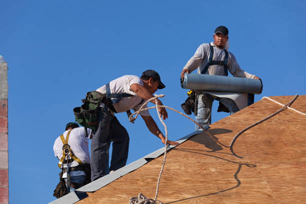 Residential Roof Replacement in Durant, MS