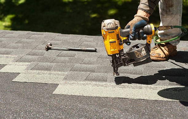 Best Roof Gutter Cleaning  in Durant, MS