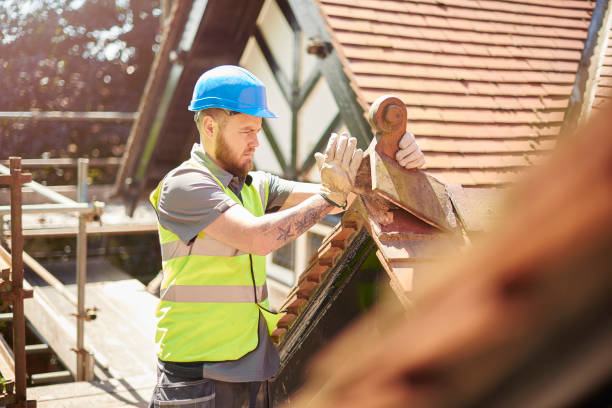 Best Roof Leak Repair  in Durant, MS