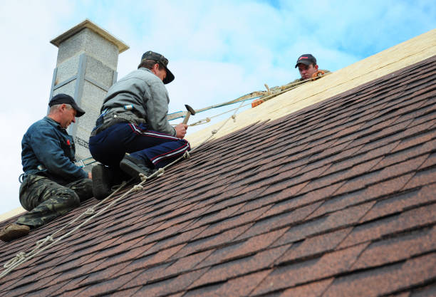 Best Best Roofing Contractors  in Durant, MS